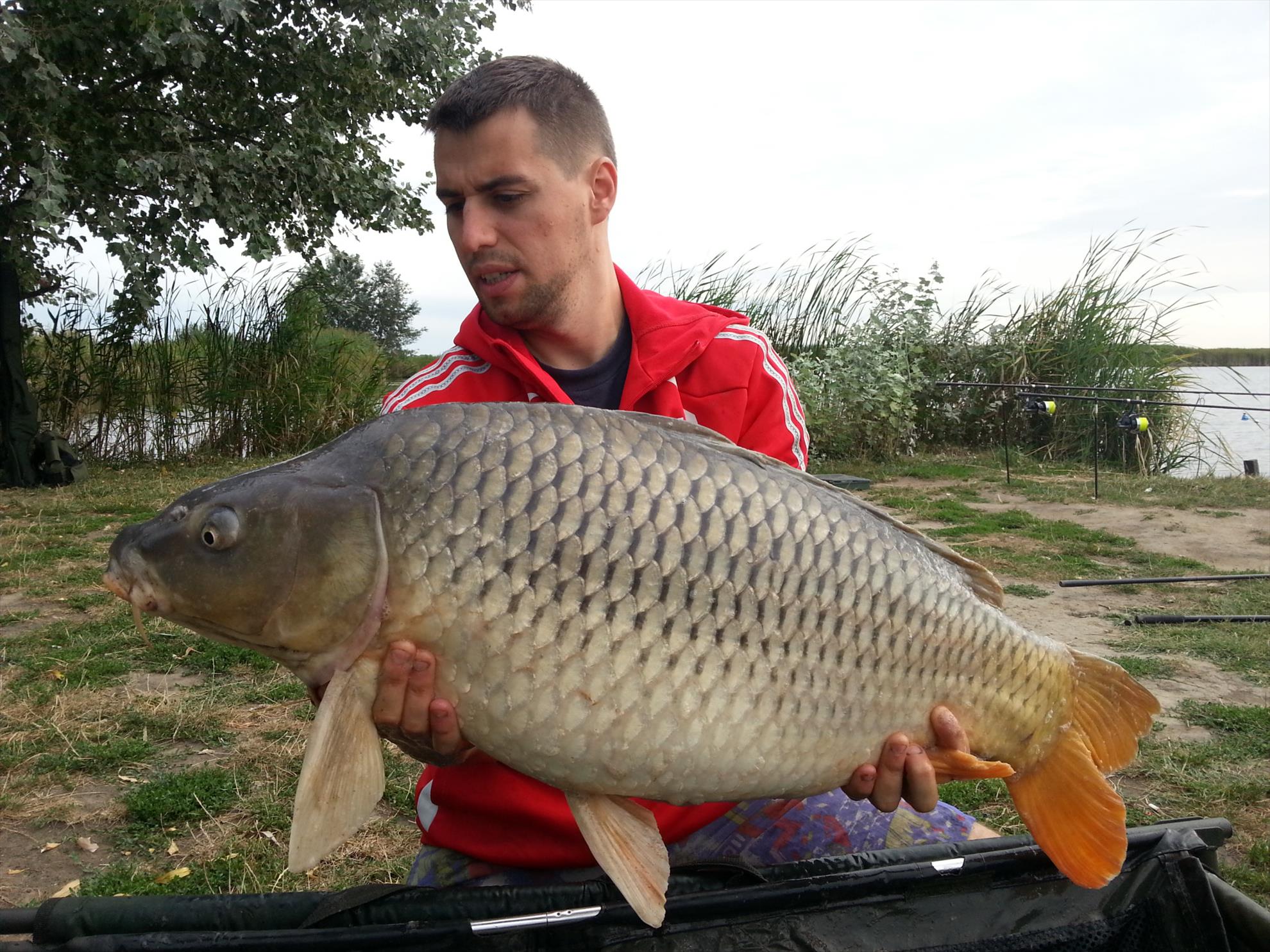 Ohat 3 8 - 11 aug. - 201308110824471.jpg